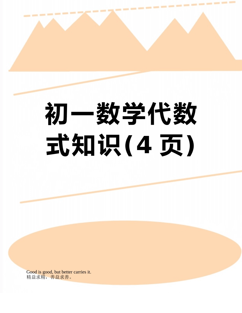 初一数学代数式知识_第1页
