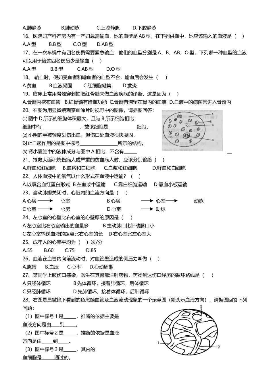 初一生物---人体内物质的运输_第3页