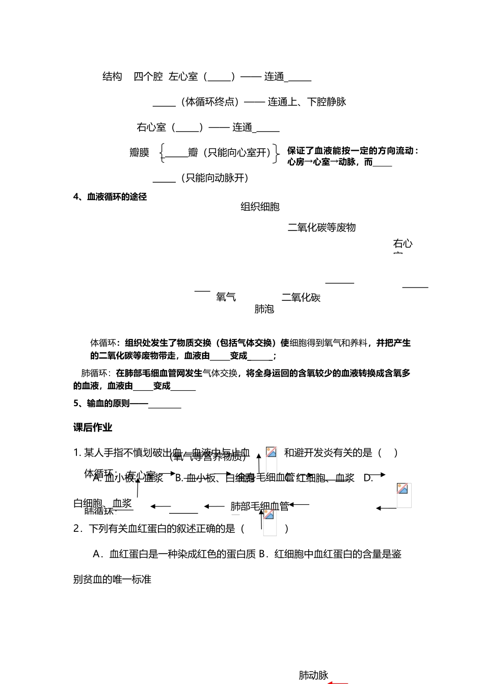 初一生物期末复习部分_第3页