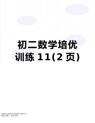 初二数学培优训练11