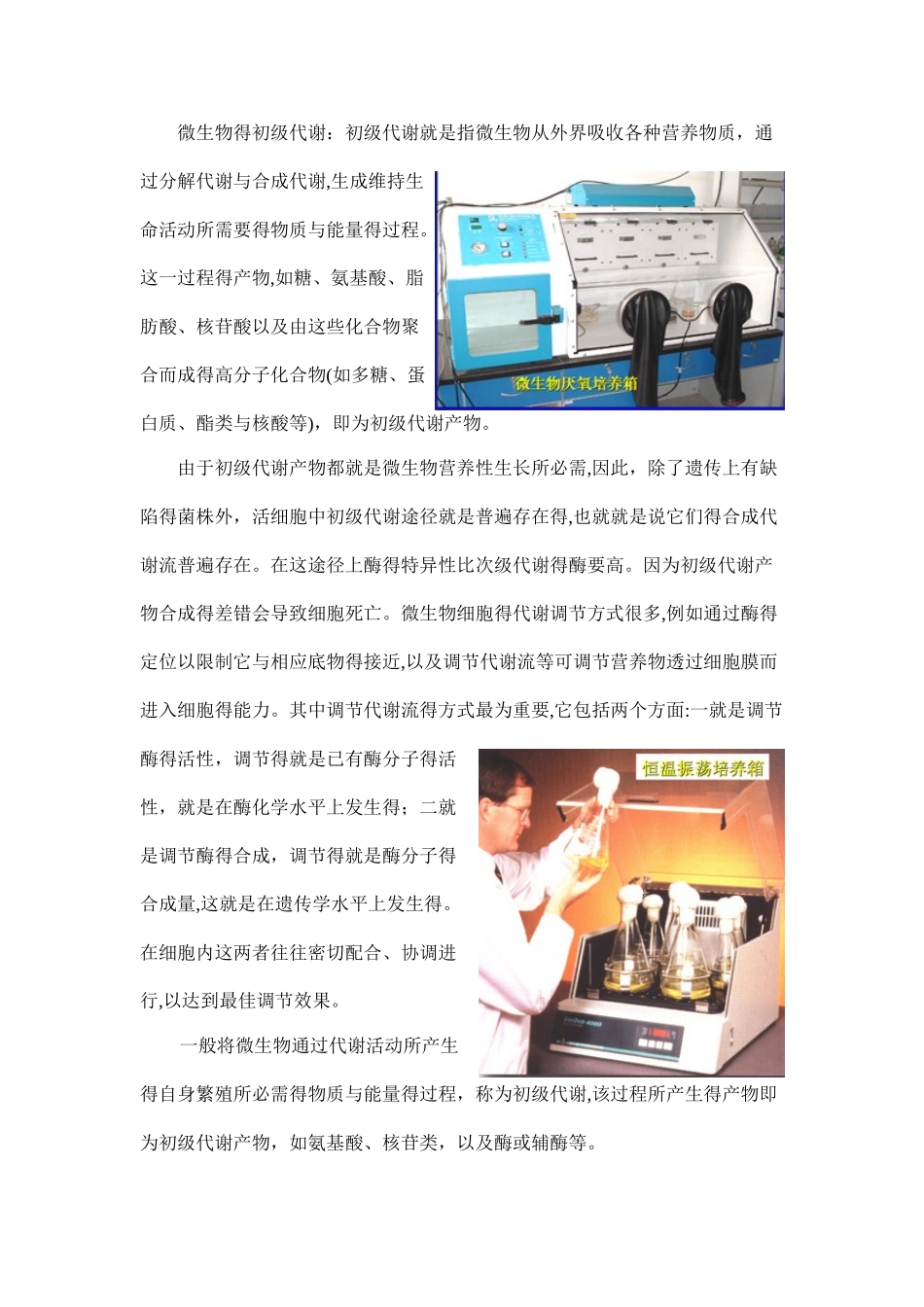 初级代谢与次级代谢之间的关系_第2页