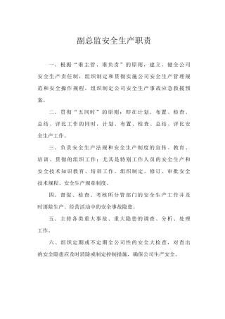 副总监安全生产职责
