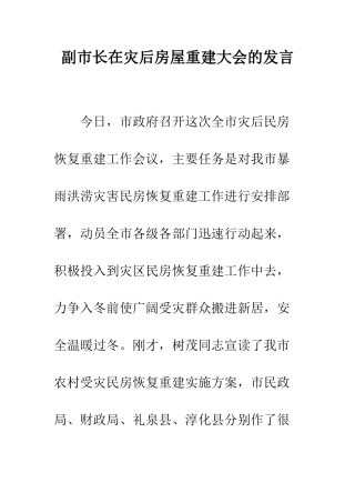 副市长在灾后房屋重建大会的发言