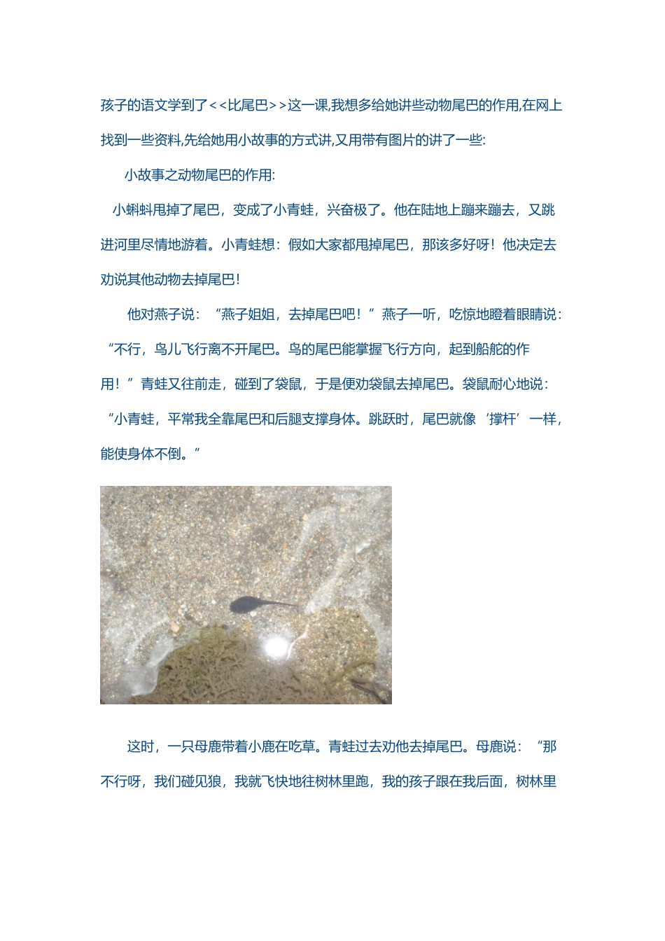 动物尾巴的作用及图片_第2页