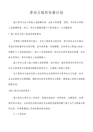 劳动力组织安排计划