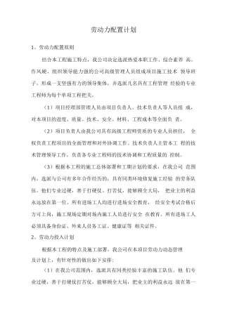 劳动力配置计划