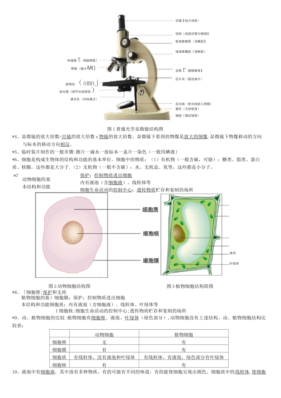 北师大版中考生物复习提纲_第2页