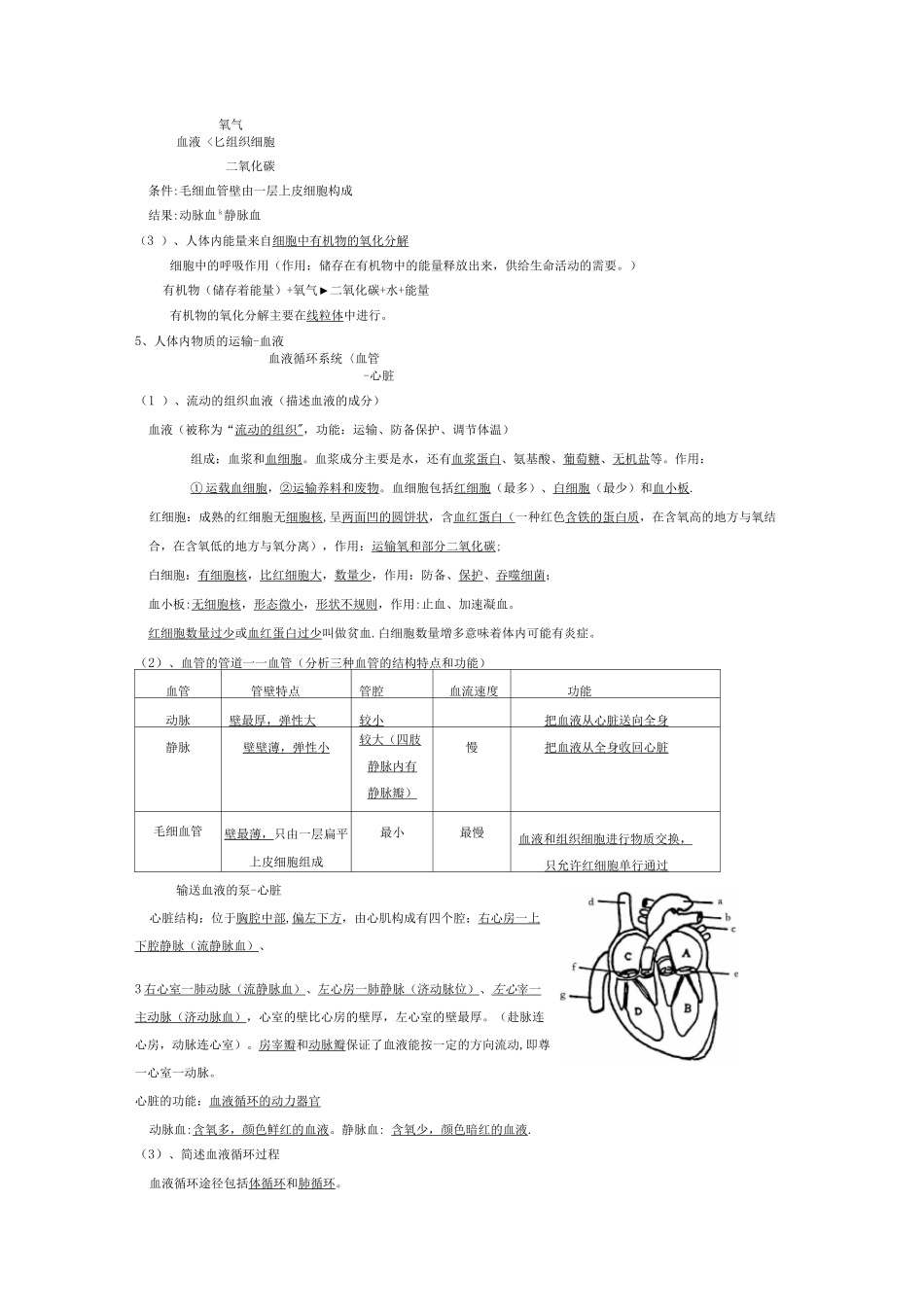 北师大版初中生物中考复习提纲_第3页