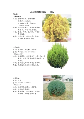北方园林绿化常用植物-灌木