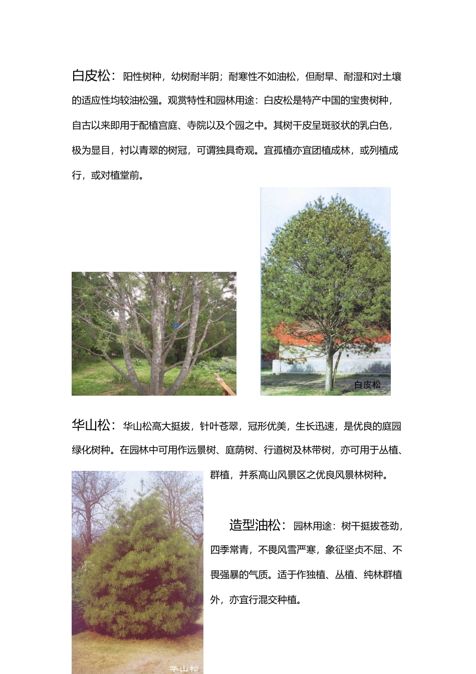 北方常用园林植物汇总_第3页