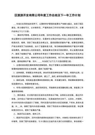 区旅游开发有限公司年度工作总结及下一年工作计划