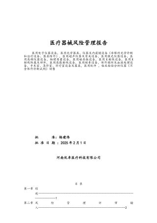 医疗器械风险管理报告