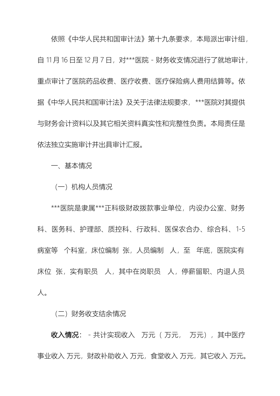 医院审计报告样本_第2页