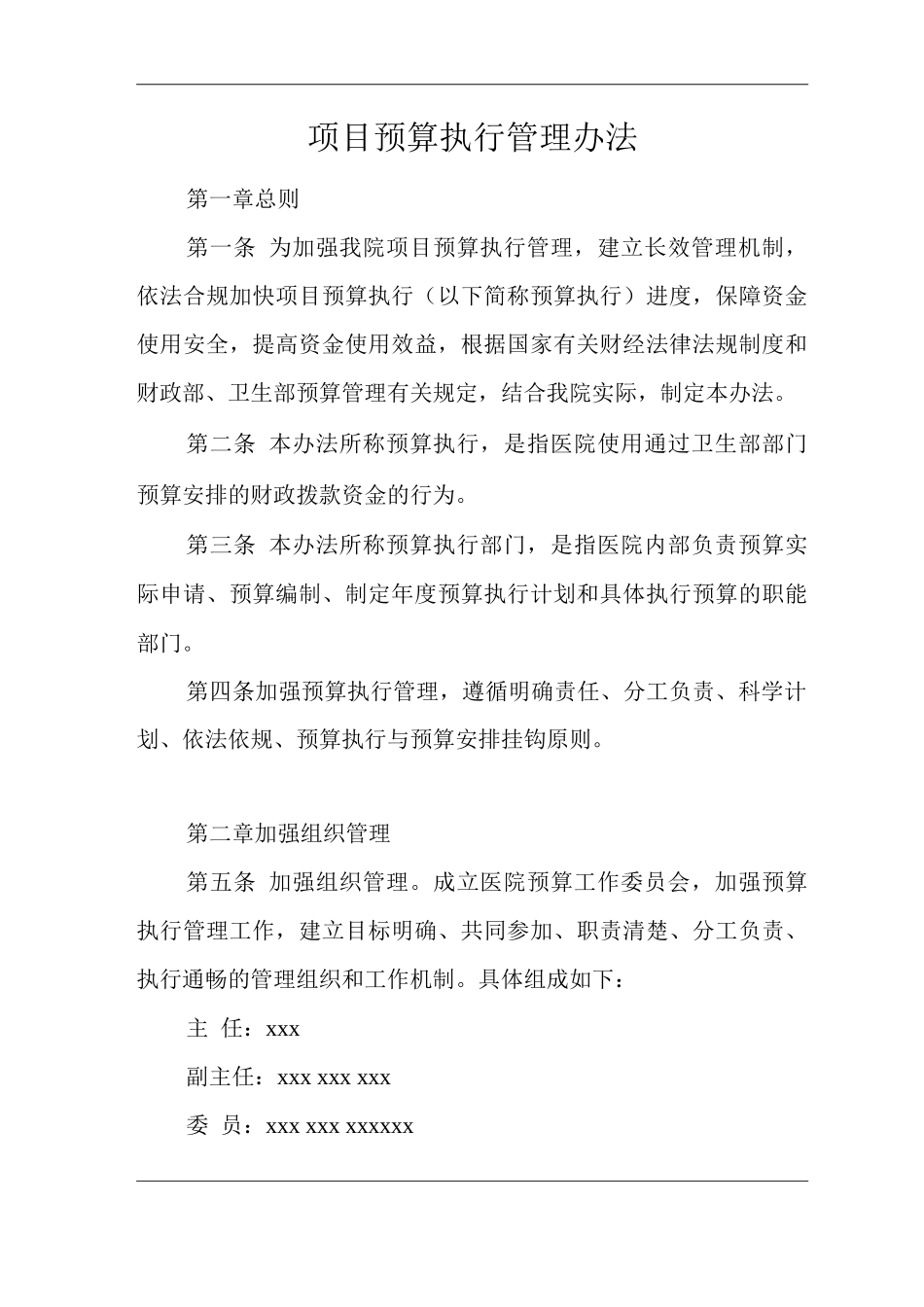 医院项目预算执行管理办法_第1页