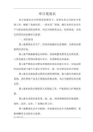 单位公司企业安全生产管理制度审计处处长安全生产与职业病危害防治责任