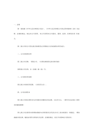 南京市公司章程