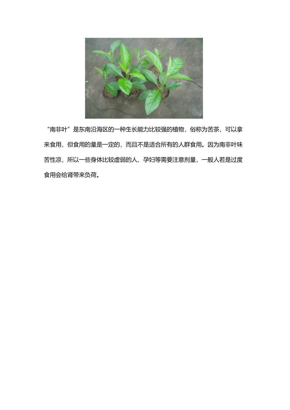 南非叶的危害_第2页