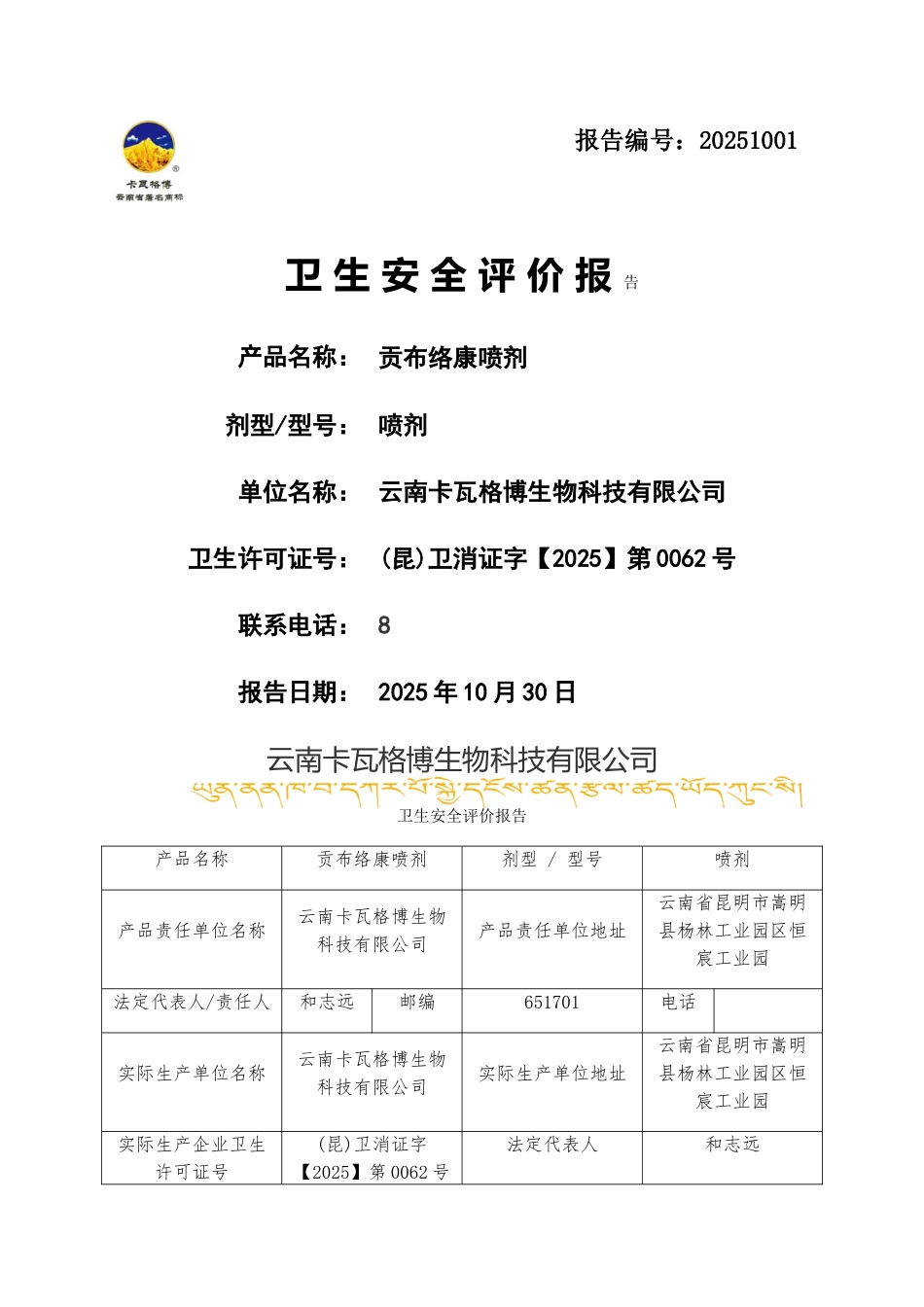 卫生安全评价报告_第1页