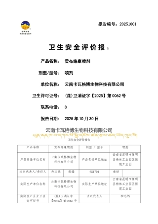 卫生安全评价报告