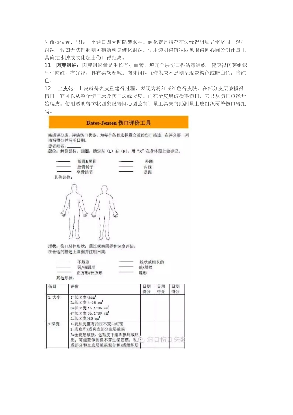 压疮愈合监测工具_第3页