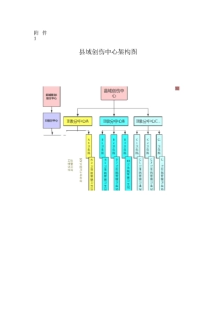 县域创伤中心架构图