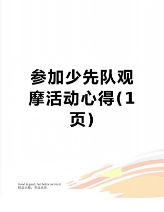 参与少先队观摩活动心得