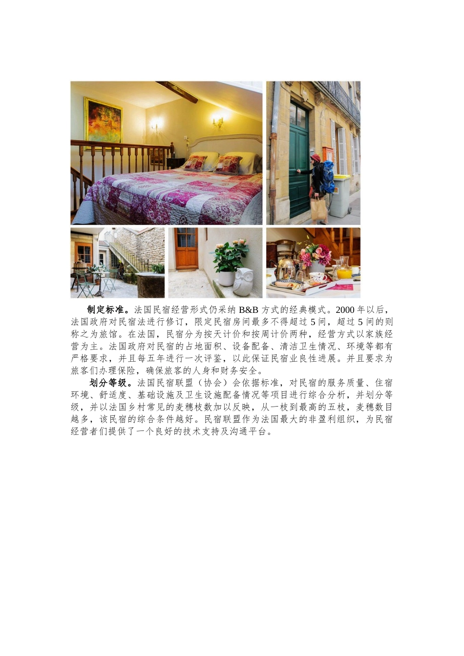 参考资料一：民宿专题研究_第3页