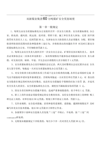 双新煤业集团60万吨煤矿奖惩办法