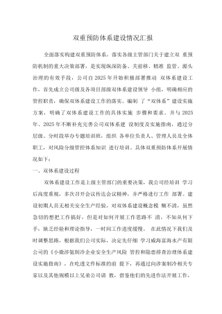 双重预防体系建设情况汇报