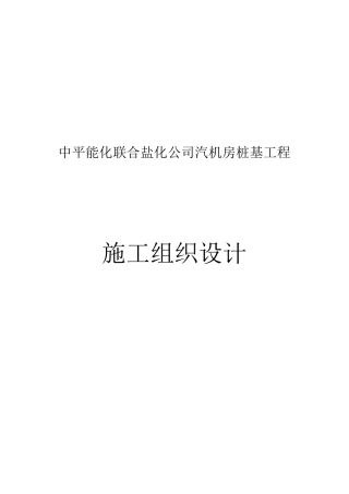 反循环钻孔专项施工方案