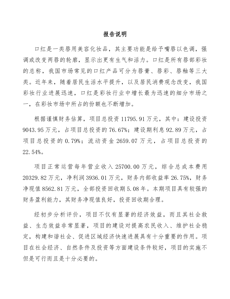 口红项目策划方案_第3页