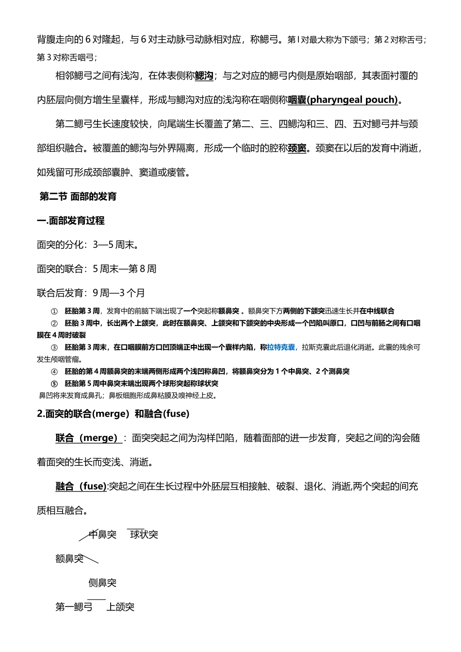 口腔组织病理学整理笔记_第3页