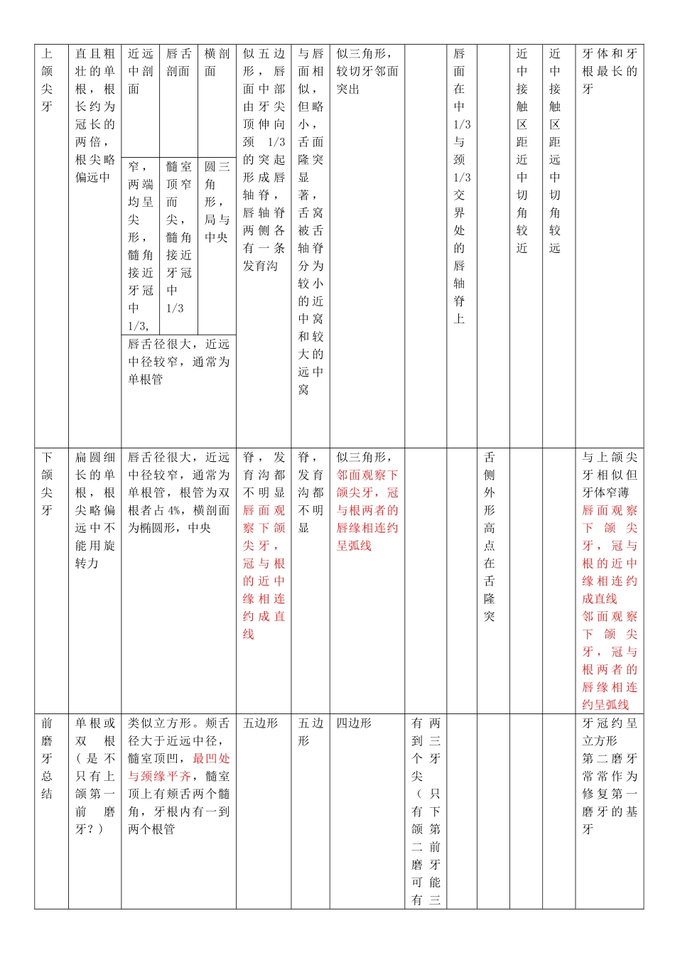 口腔解剖生理学前半部分总结_第3页