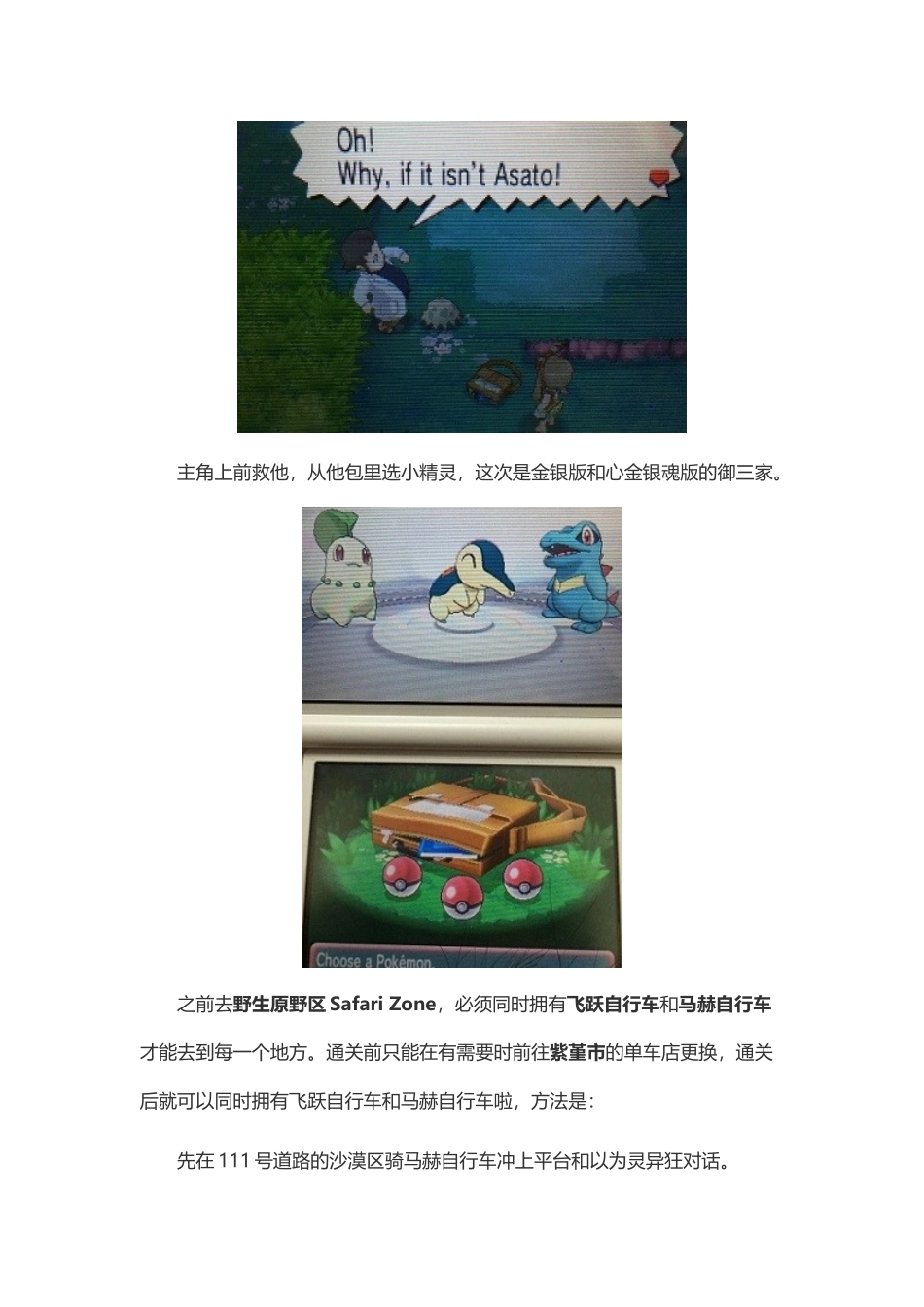 口袋妖怪ORAS三周目图文攻略_第3页