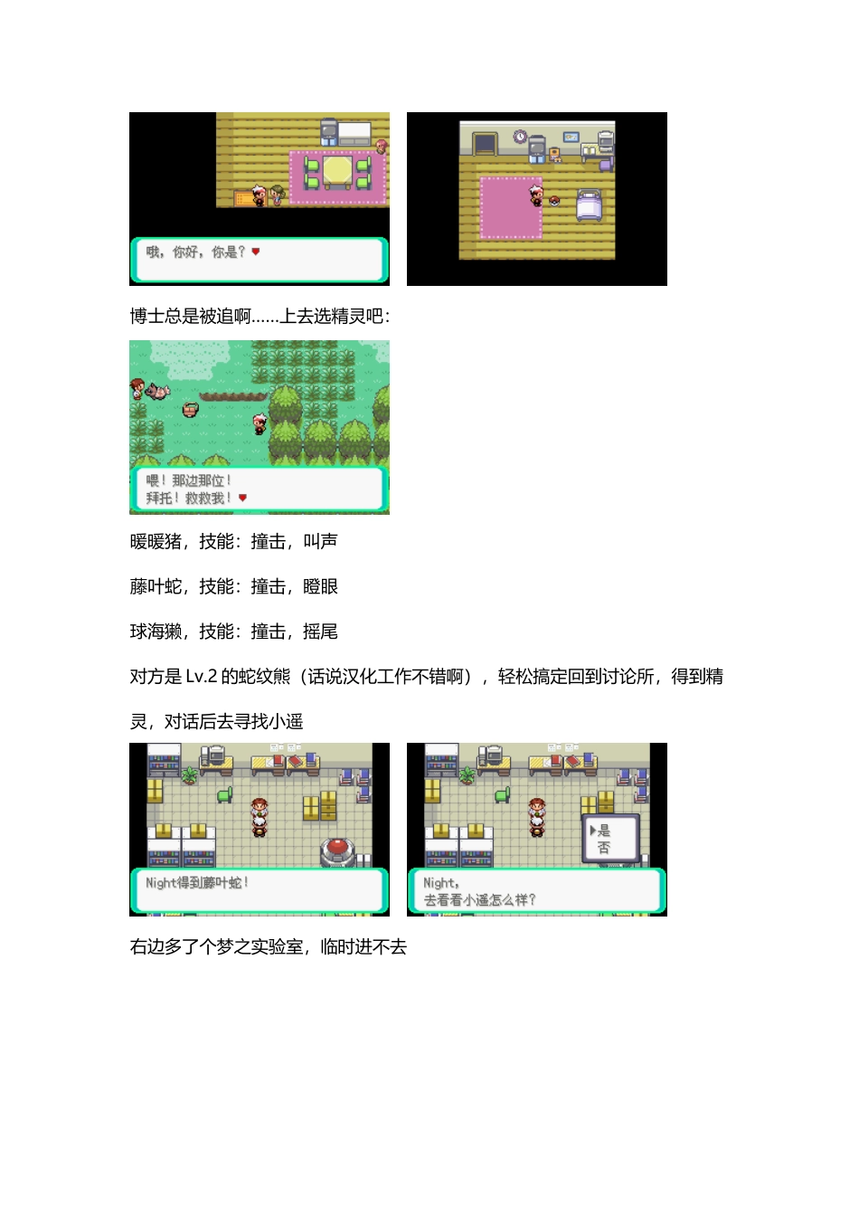 口袋妖怪漆黑的魅影一周目图文攻略_第3页