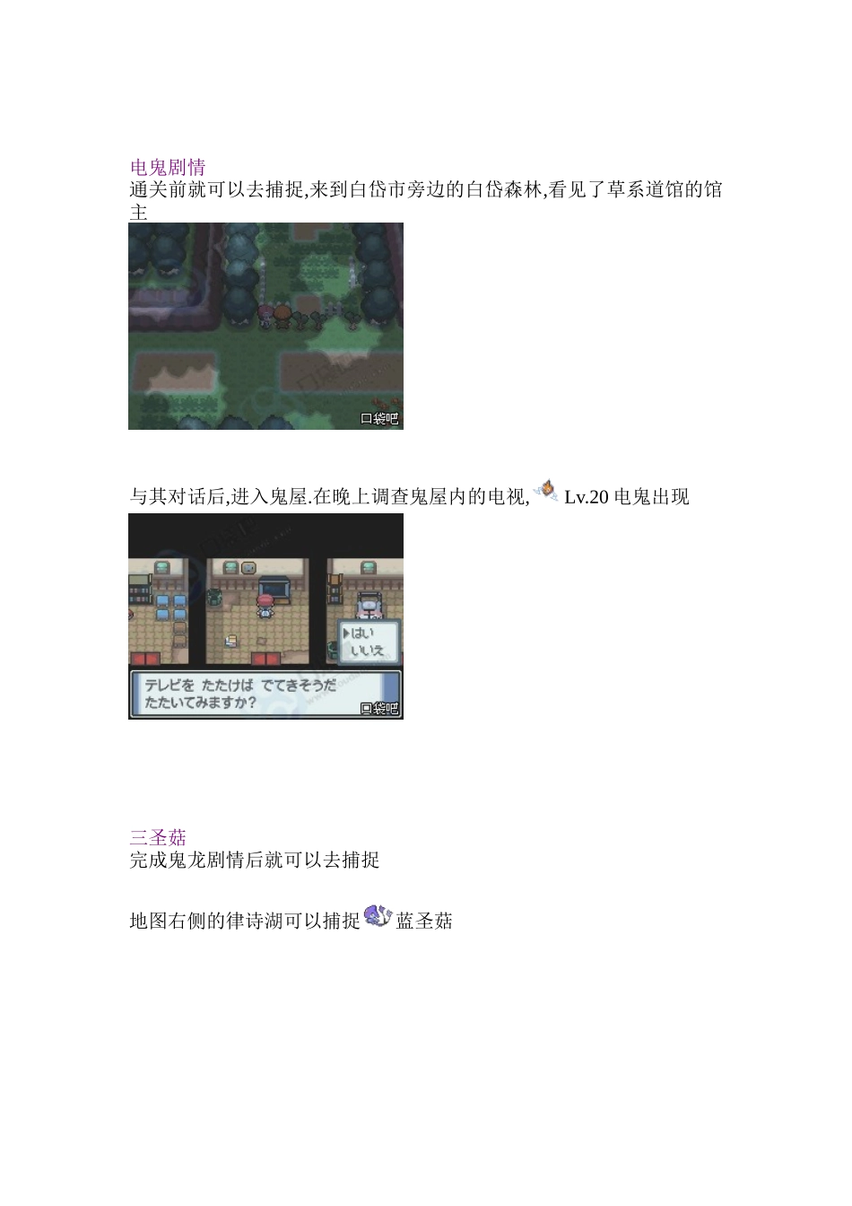 口袋妖怪白金二周目图文攻略_第1页