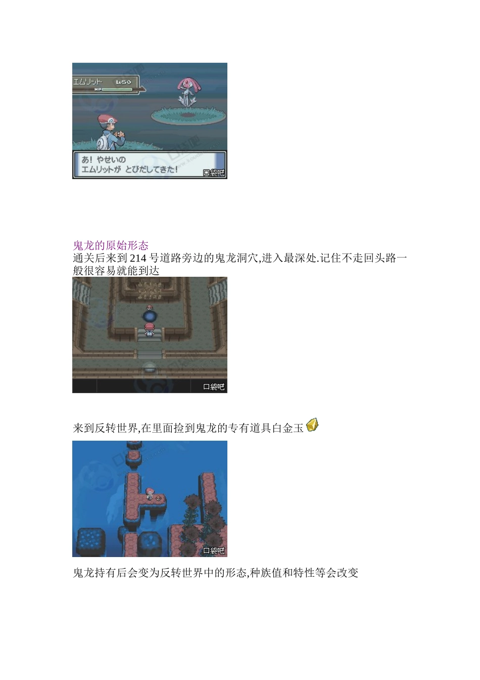 口袋妖怪白金二周目图文攻略_第3页