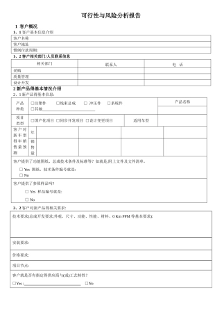 可行性与风险分析报告