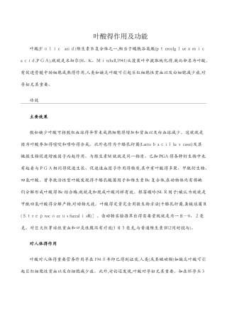 叶酸的作用及功能