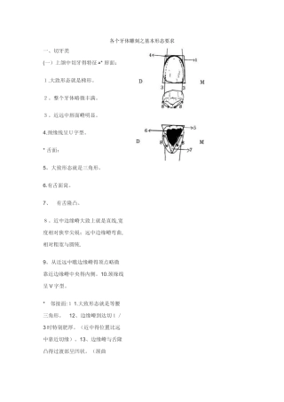 各个牙体雕刻之基本形态要求