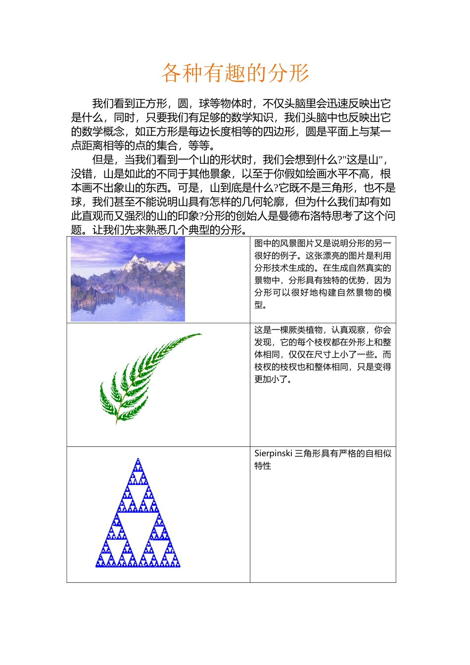 各种有趣的分形_第2页