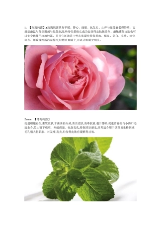 各种纯露的作用