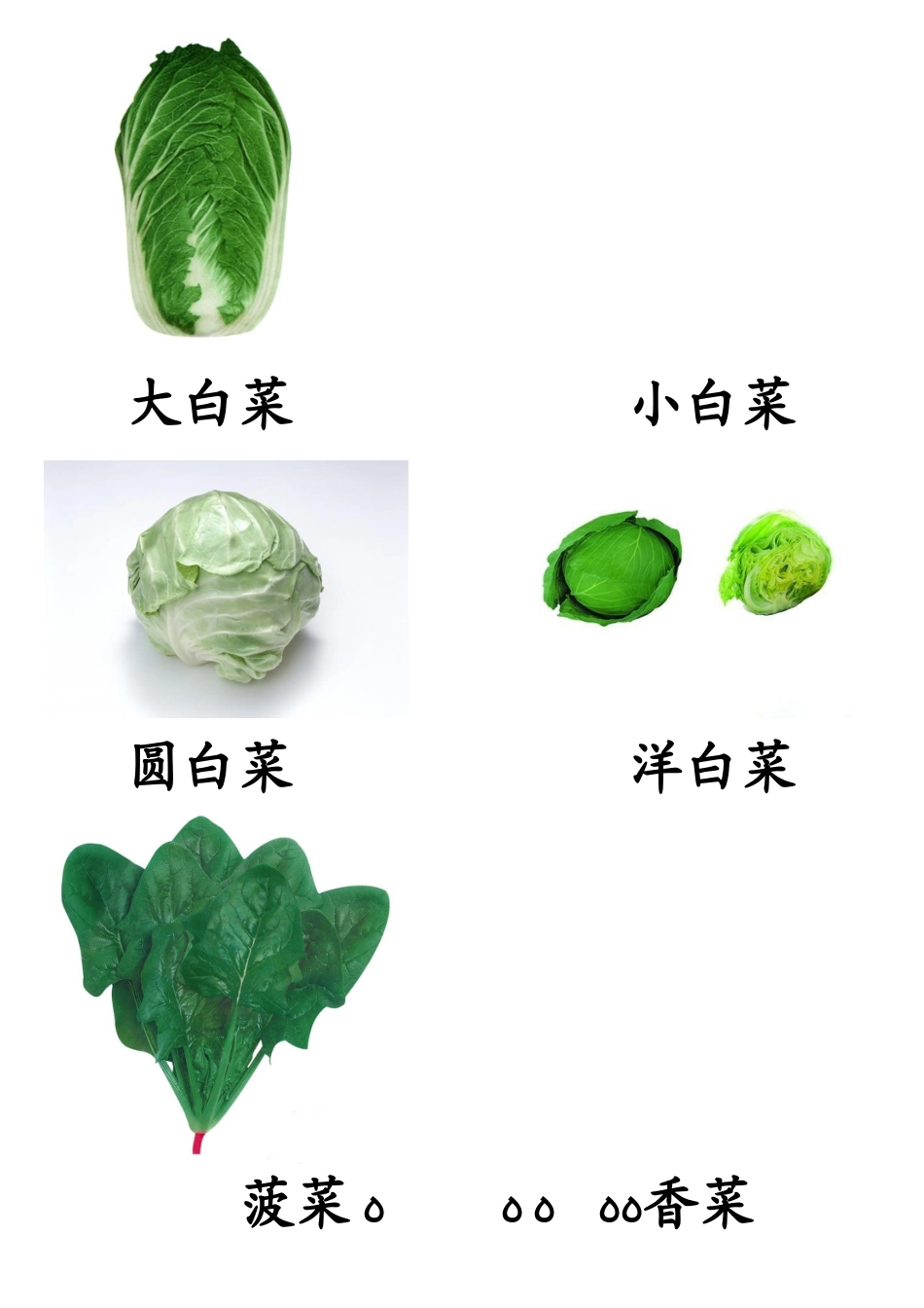 各种蔬菜图片总汇_第2页
