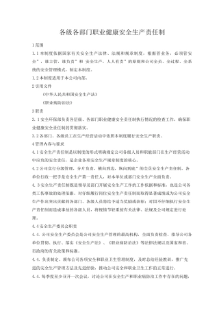 各级各部门职业健康安全生产责任制