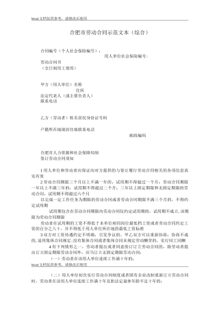 合肥市劳动合同示范文本