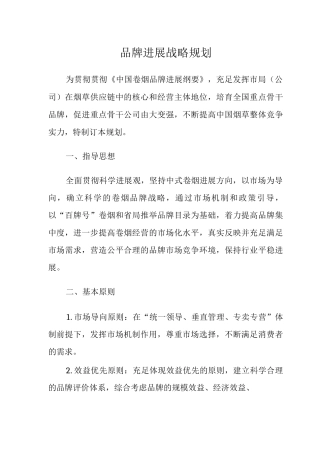 品牌发展战略规划细则