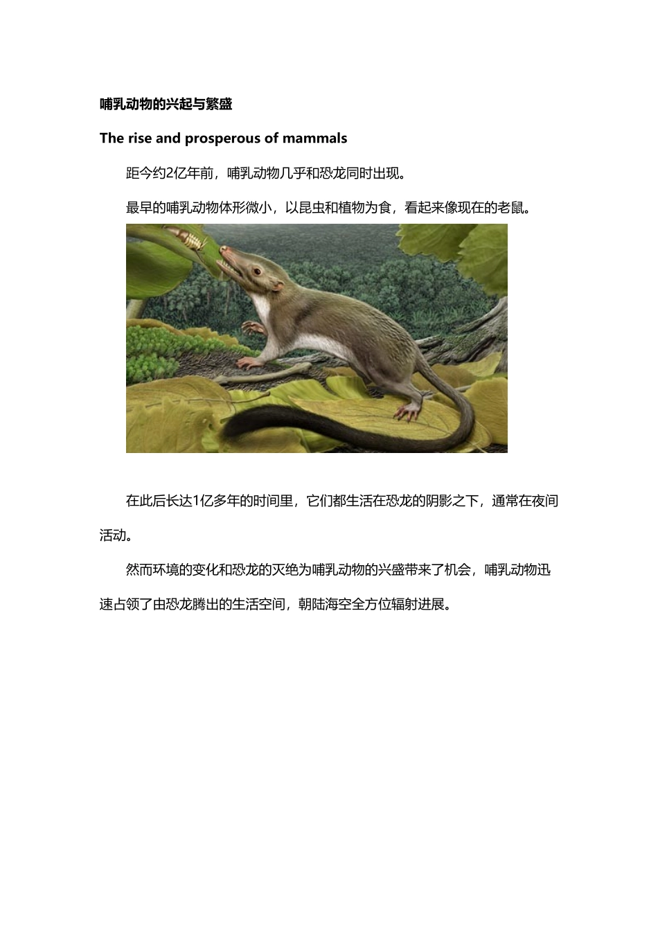 哺乳动物的分化与辐射_第2页