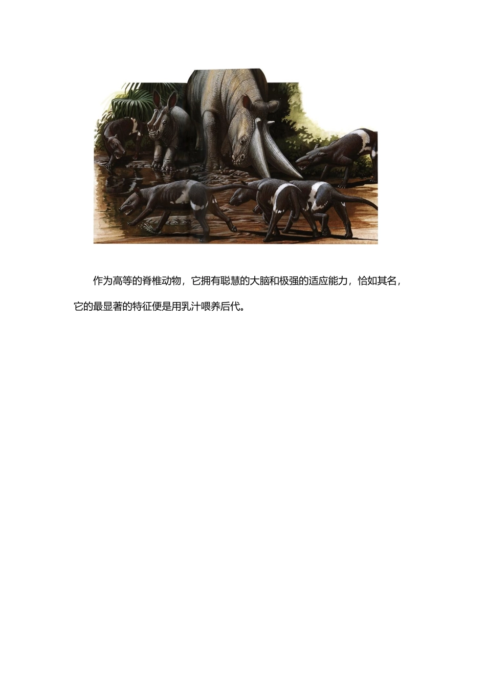 哺乳动物的分化与辐射_第3页