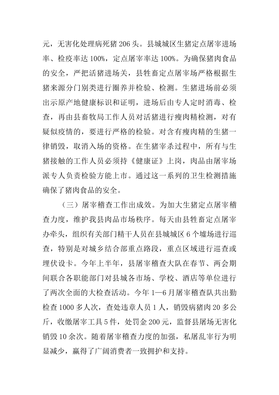 商业总公司2025年上半年工作总结_第2页