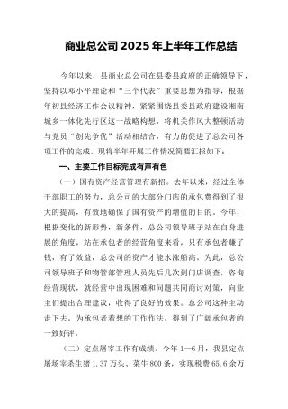 商业总公司2025年上半年工作总结